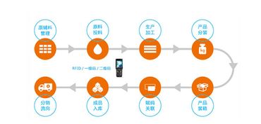 構建智慧防線 水產品質量追溯系統與信息安全軟件開發雙管齊下，保障您的食用安全